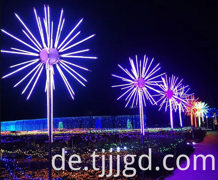 Firework LED Lights Outdoor